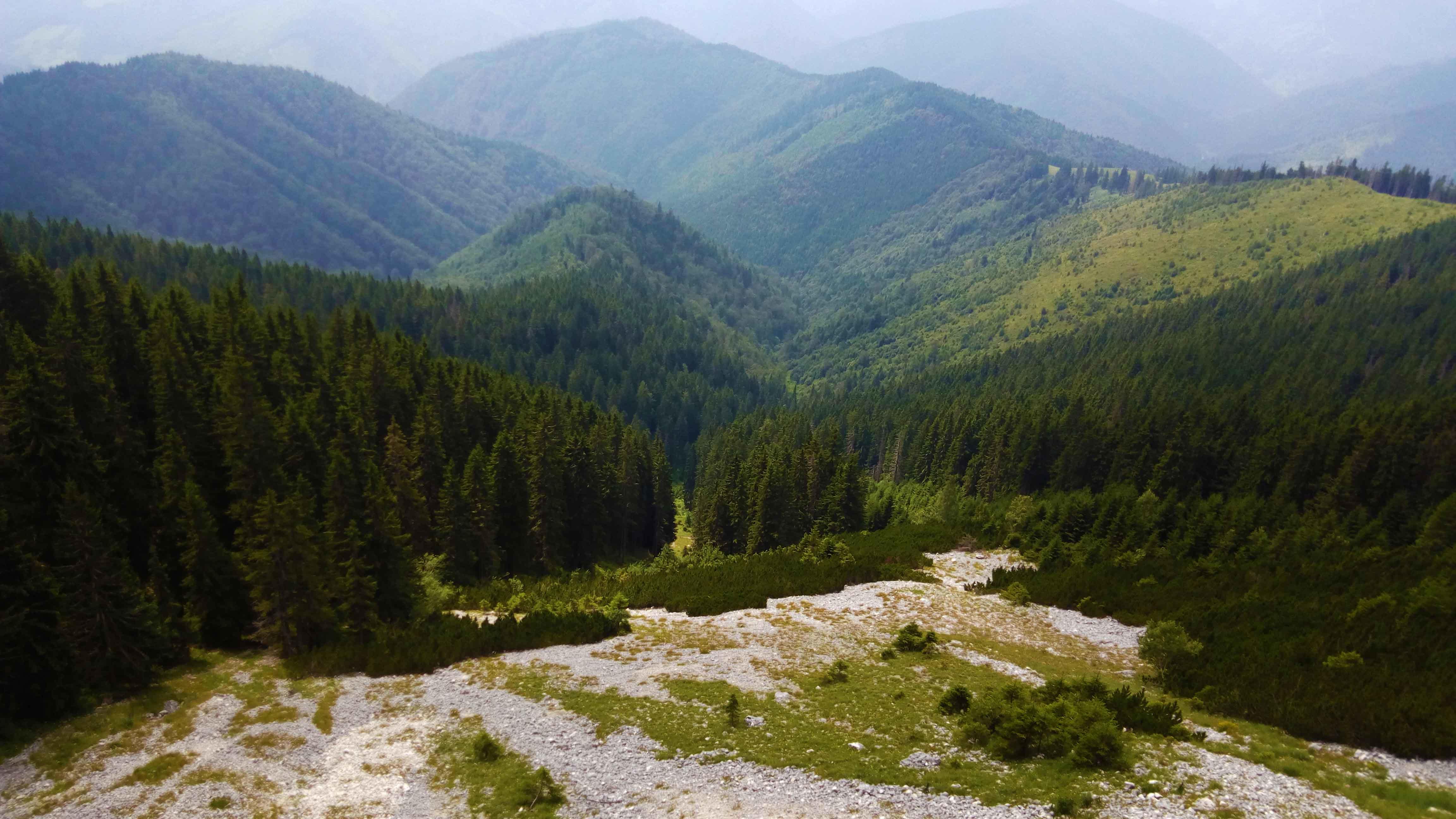 Drumetie prin partea vestica a Pietrei Craiului, iulie 2016